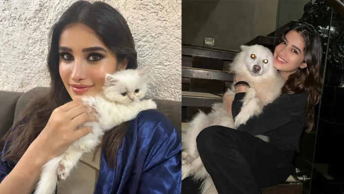 Rasha Thadani