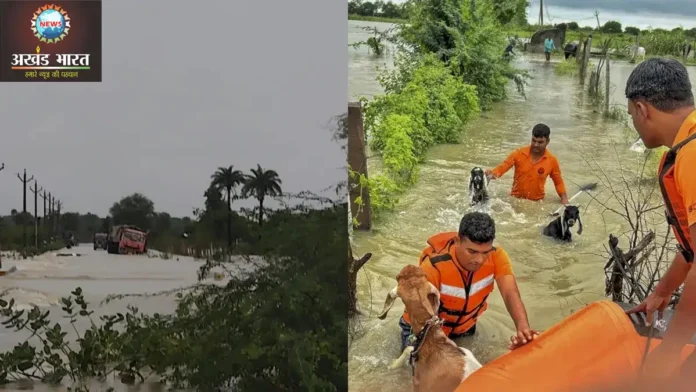 flood in rajasthan राजस्थान में बाढ़