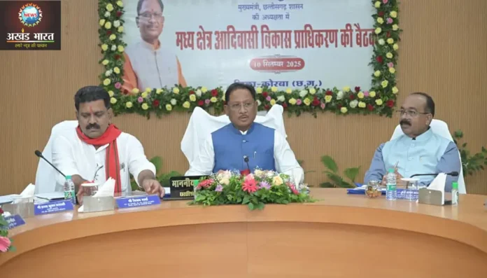 मुख्यमंत्री विष्णुदेव साय