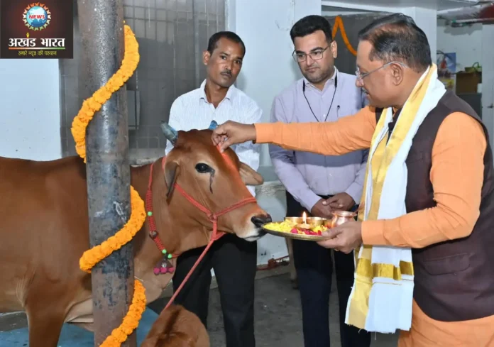 Chief Minister worshipped cows on the occasion of Govardhan Puja गोवर्धन पूजा