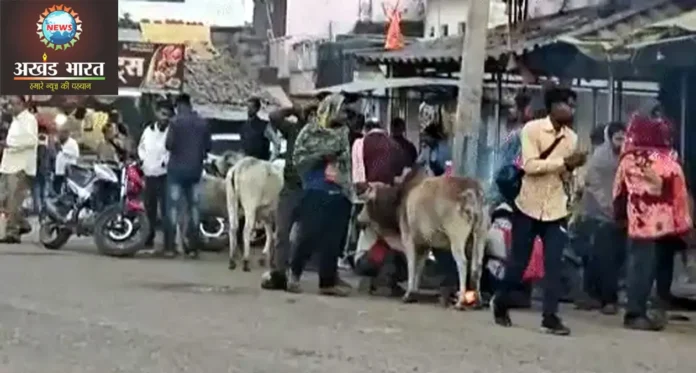 छत्तीसगढ़