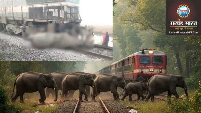 राजधानी एक्सप्रेस