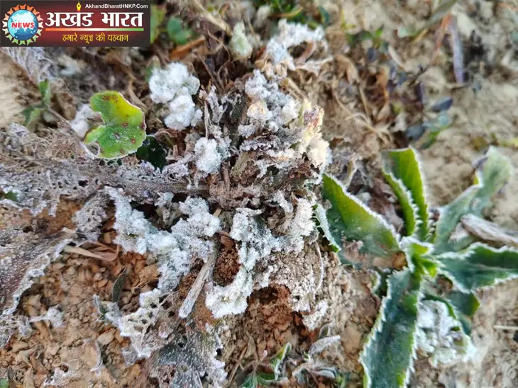 सरगुजा संभाग