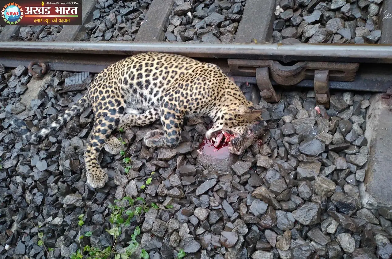 ट्रेन की टक्कर