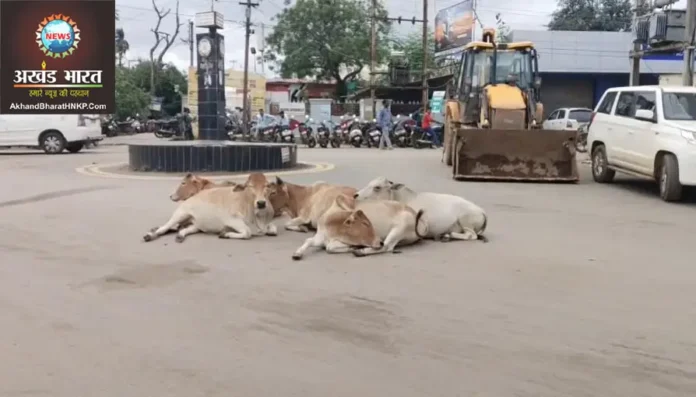 जगदलपुर