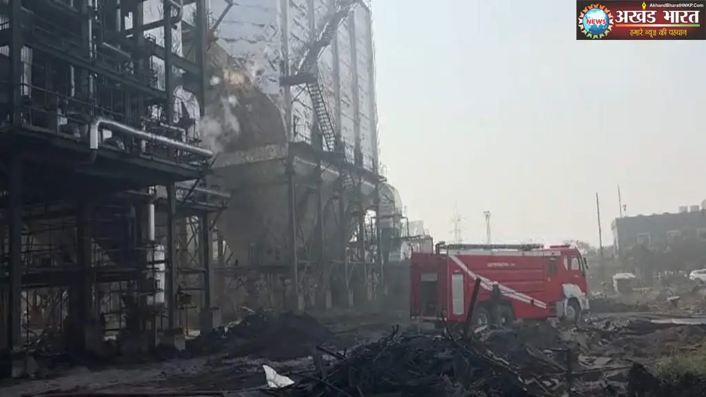 स्पंज कंपनी