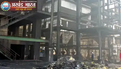 स्पंज कंपनी