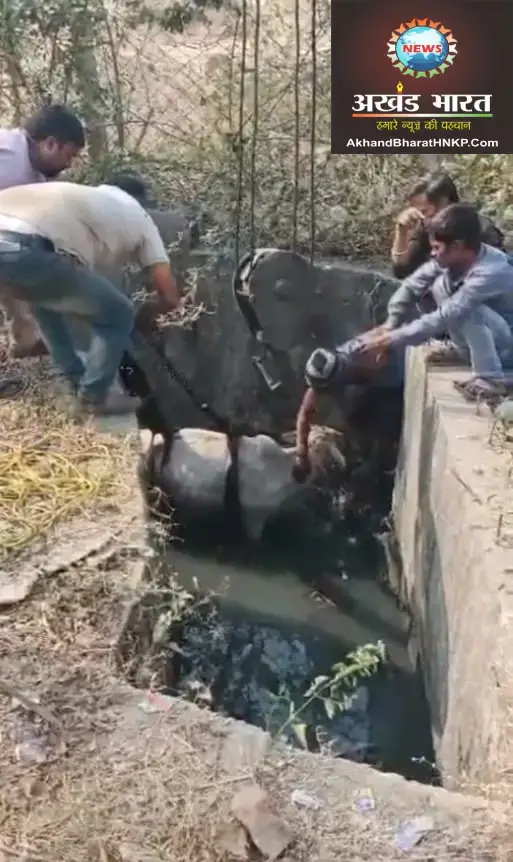 नगर-निगम-की-लापरवाही