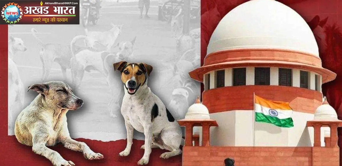 सुप्रीम कोर्ट