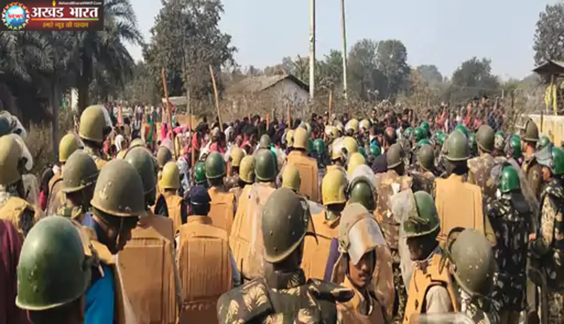 मक्का प्लांट