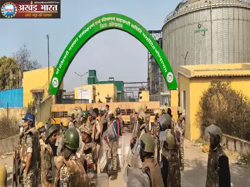 corn plant मक्का प्लांट