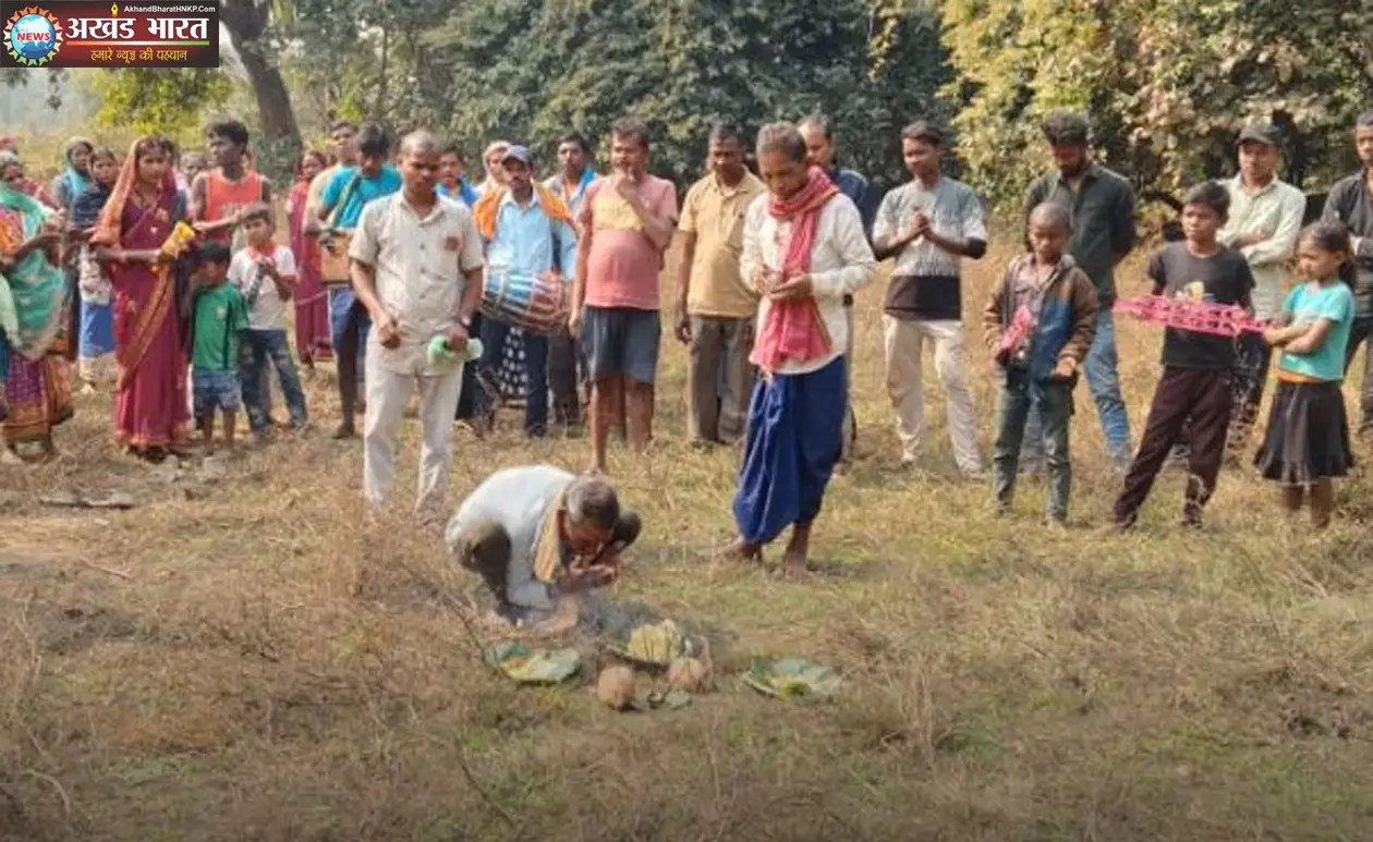 हाथी शावक