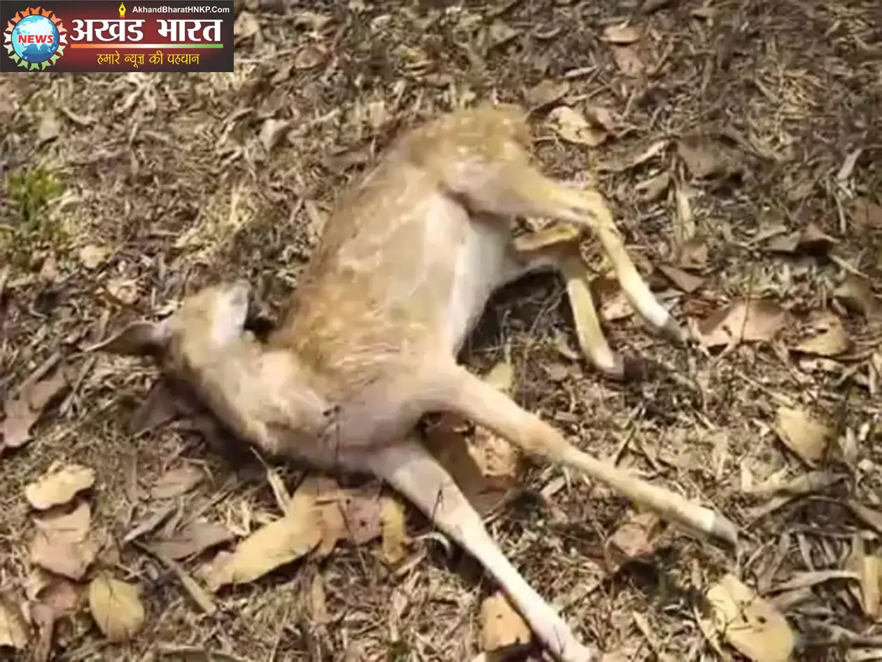 संजय पार्क