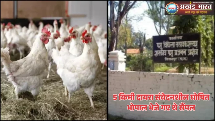 बर्ड फ्लू