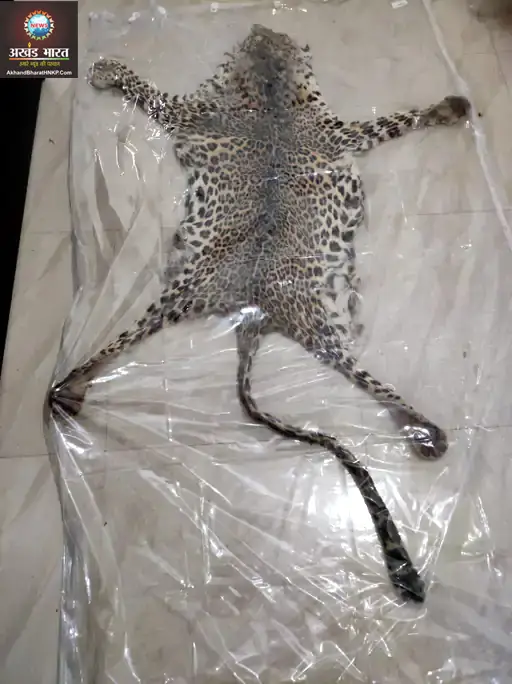 वन विभाग