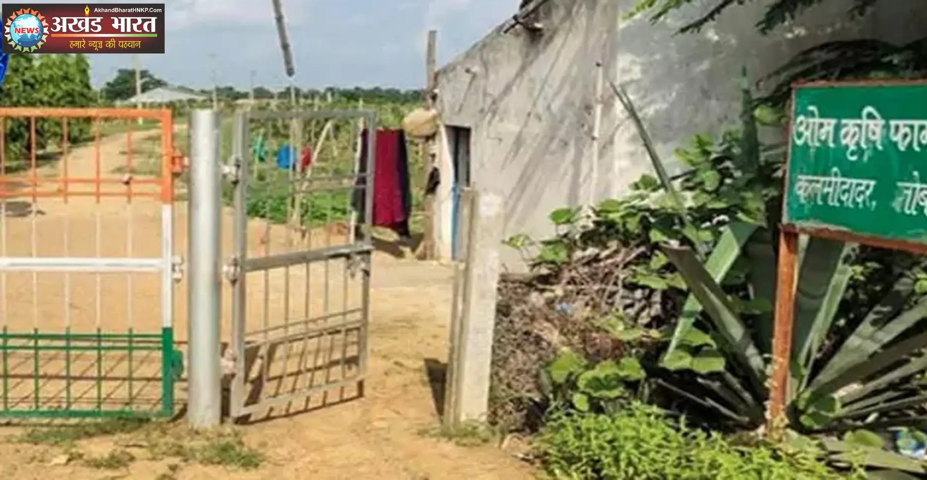 हाईकोर्ट