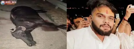 भारतमाला मुख्य मार्ग