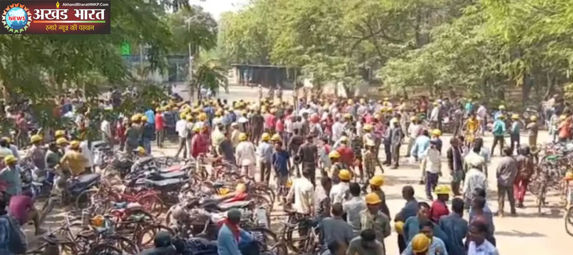 एनटीपीसी