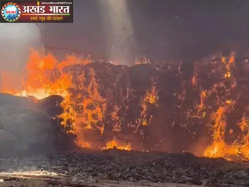तेंदूपत्ता गोदाम
