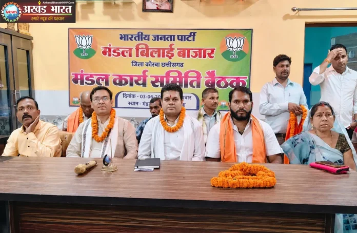 भारतीय जनता पार्टी