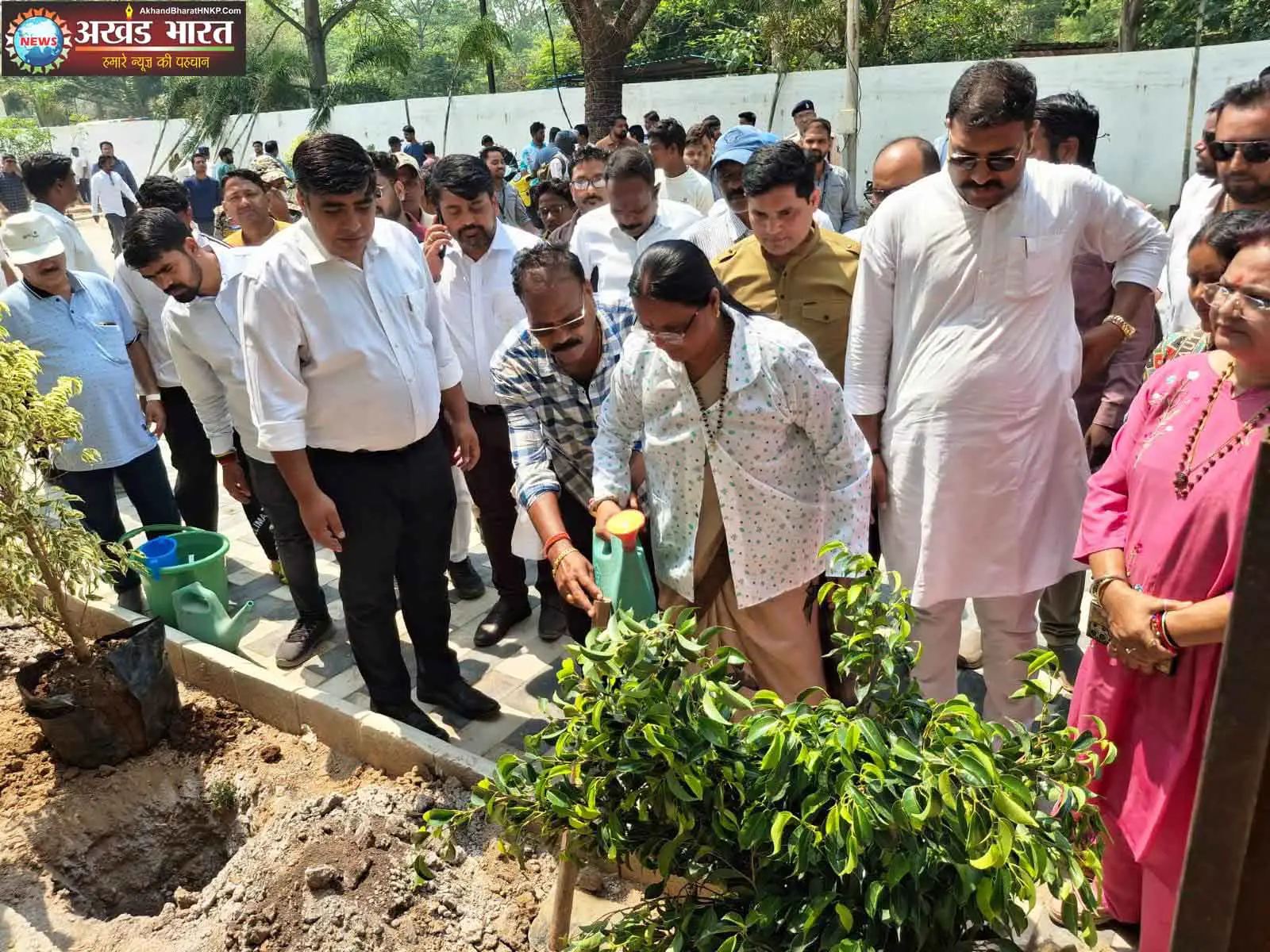 विश्व पर्यावरण दिवस