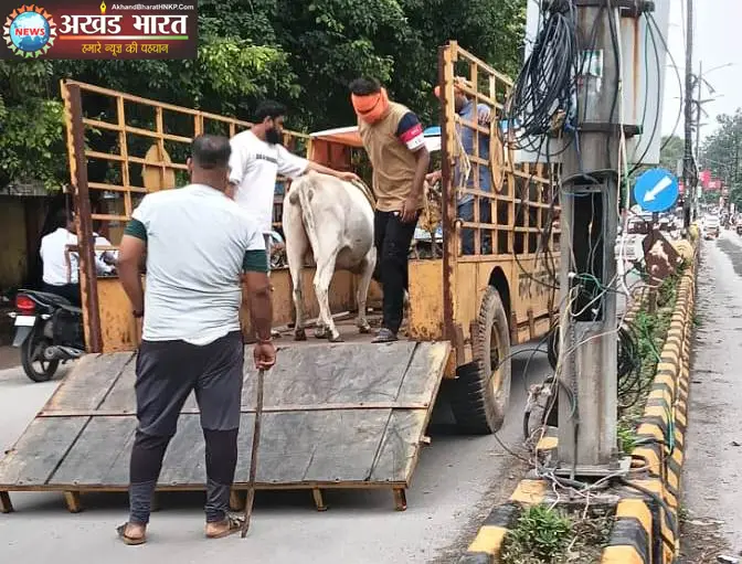 नगर पालिक निगम कोरबा