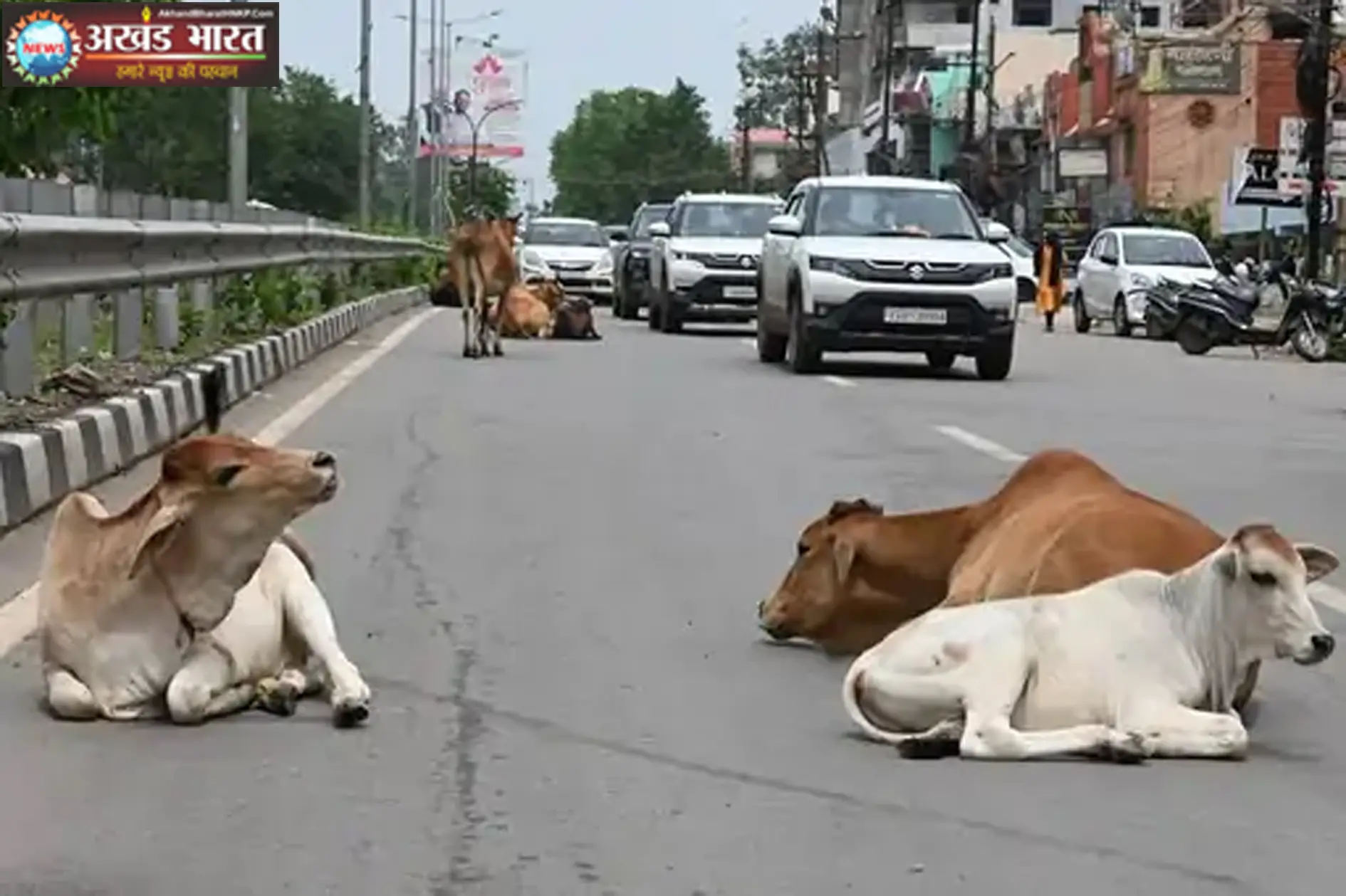 छत्तीसगढ़ हाईकोर्ट