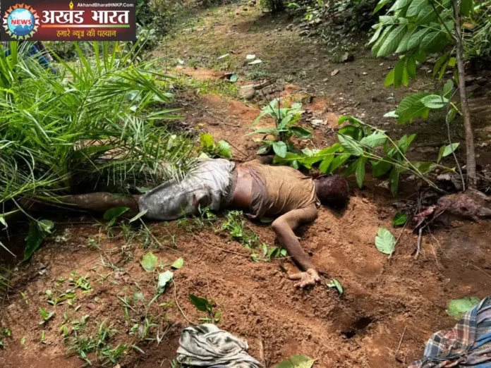 जंगली हाथी