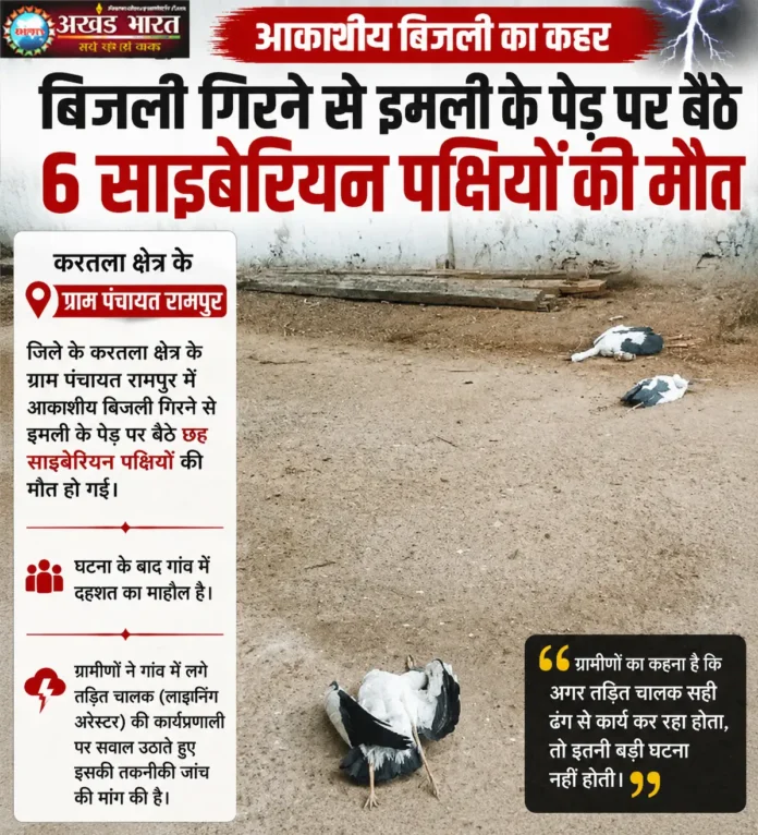 साइबेरियन पक्षियों