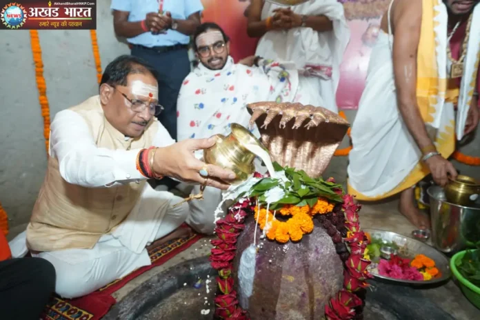 मुख्यमंत्री विष्णुदेव साय