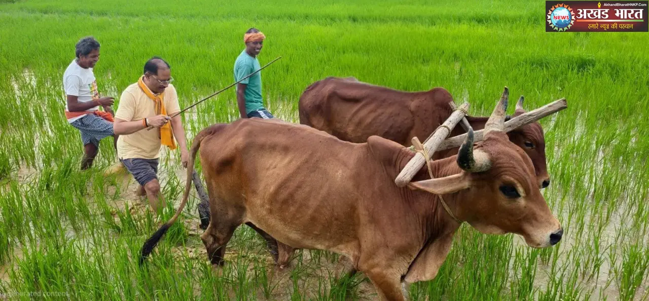 मुख्यमंत्री विष्णुदेव साय