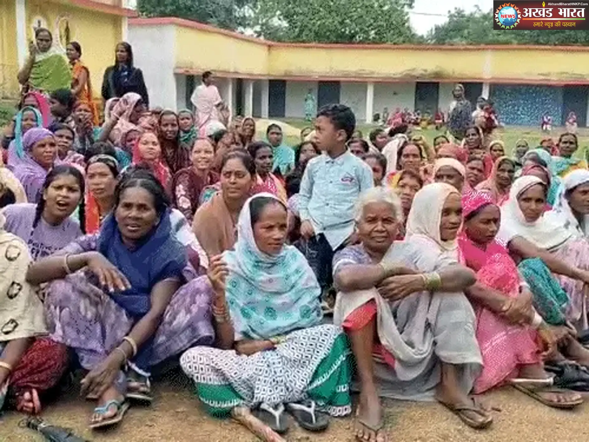 मादा भालू