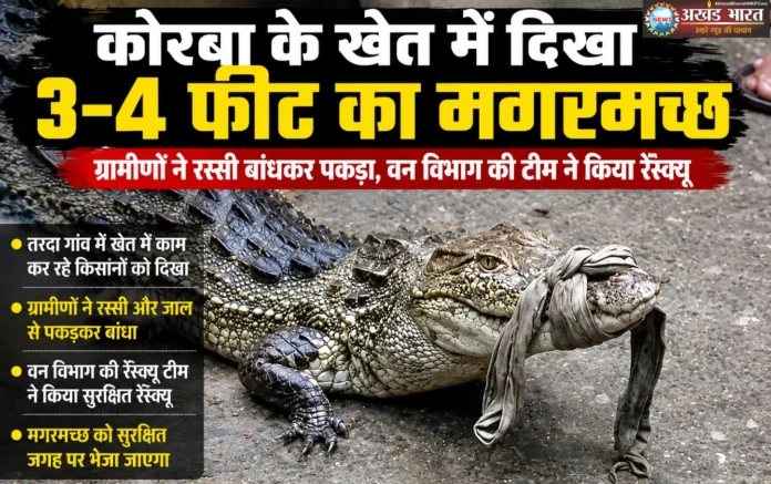 Sensation caused by the discovery of a crocodile
