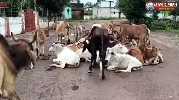 बिलासपुर-कोरबा राष्ट्रीय राजमार्ग