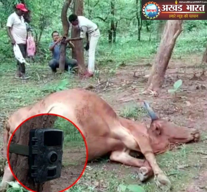 मानपुर वन परिक्षेत्र