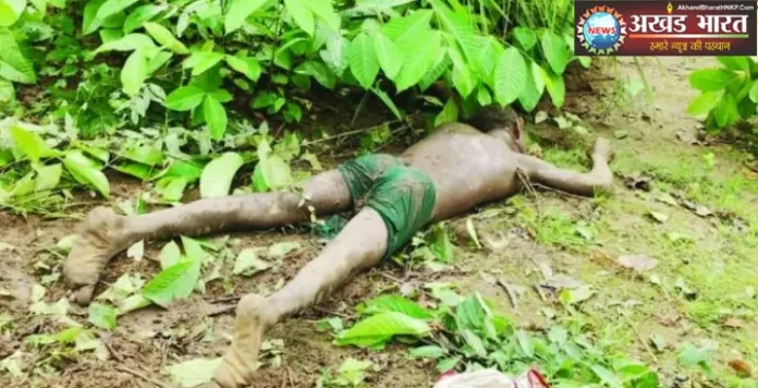 Tusker attacks villager दंतैल हाथी