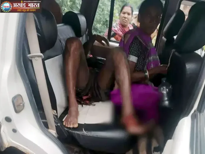 बाघिन