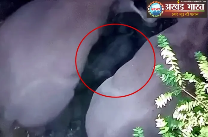 करतला वन परिक्षेत्र