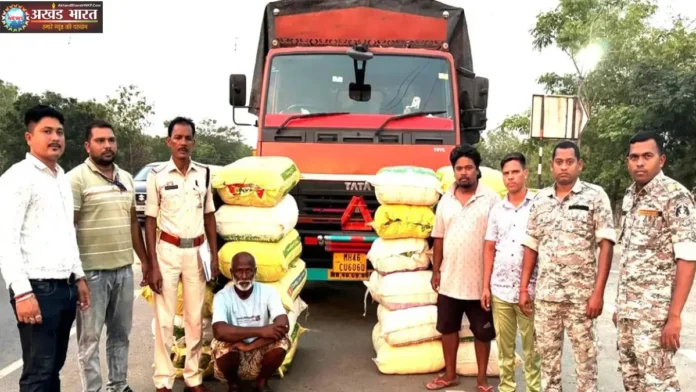 Cannabis worth 2.95 crore seized गांजा तस्करी