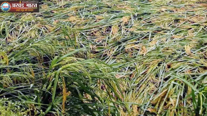 चक्रवाती तूफान अर्नब