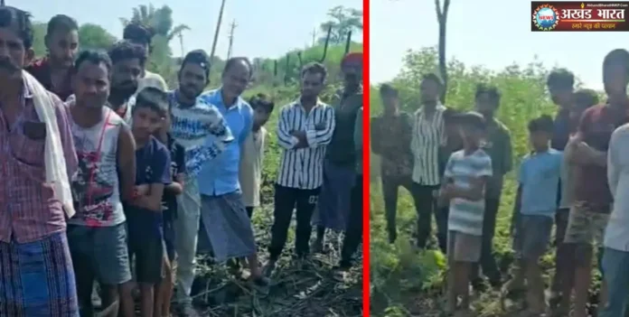मानव कंकाल