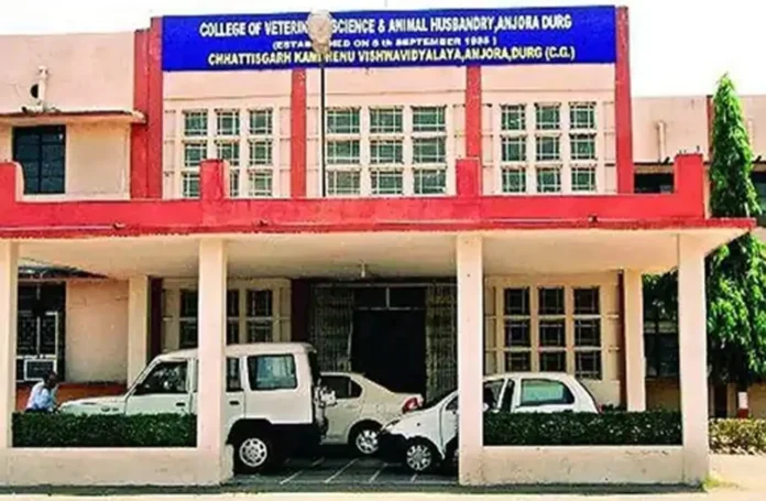 कामधेनु विश्वविद्यालय