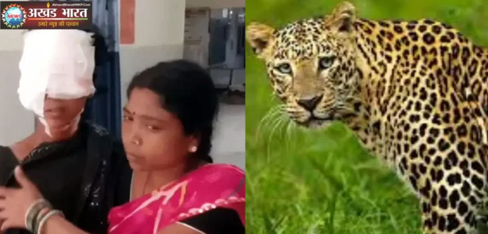 तेंदुआ